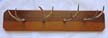 Antler hat rack for my son